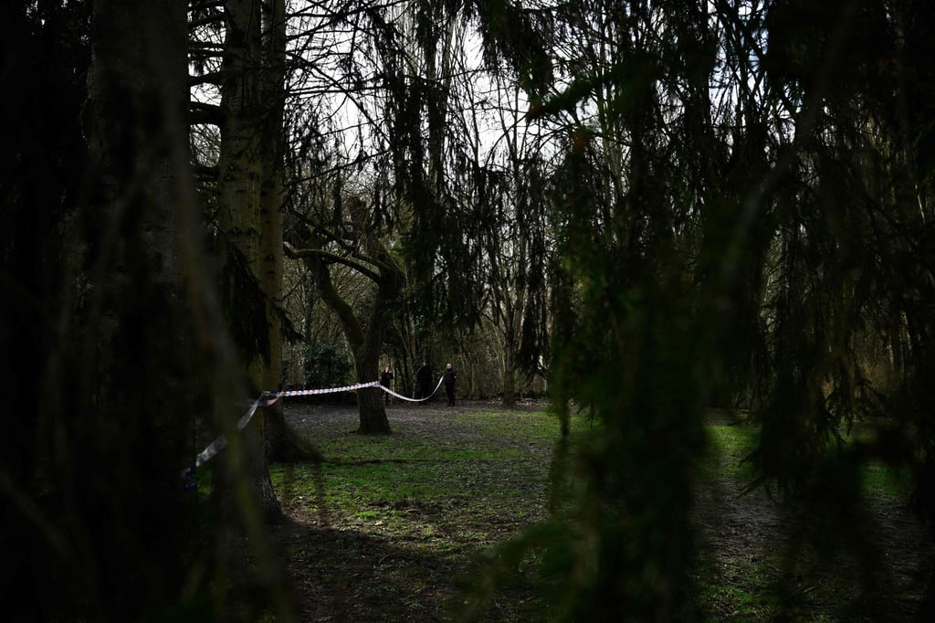 Se descubrió que la niña fue asesinada a Esoncho, al sur de París, de viernes a sábado. Imagen: AFP